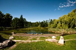 Largest Prague park Stromovka